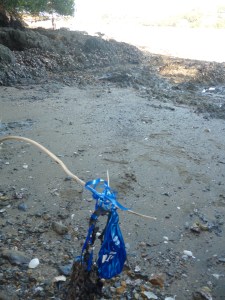 Balloon on beach at Waiheke Island