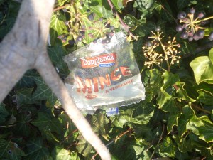 Littered pie wrapper